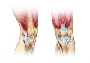 Jumper's Knee