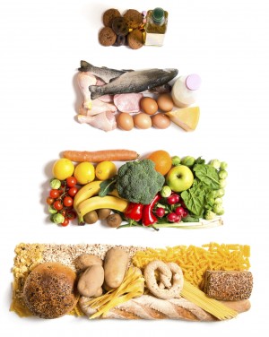 Diet and Cardiovascular Disease