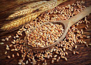 What is a Gluten-Free Diet?